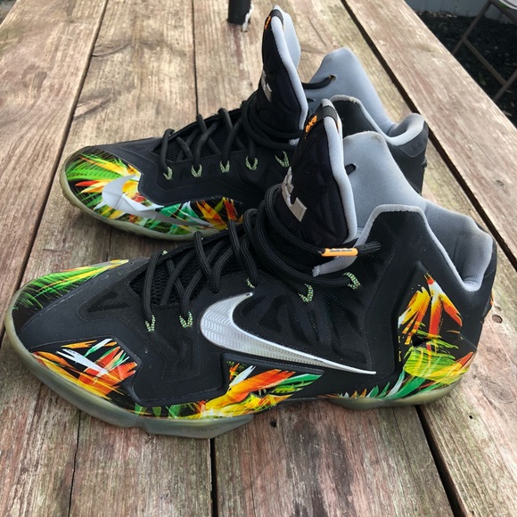 lebron 11 everglades